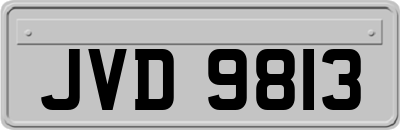 JVD9813