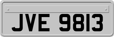 JVE9813