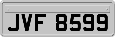 JVF8599