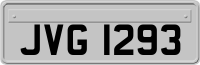 JVG1293