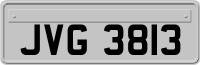 JVG3813