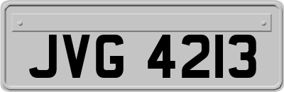 JVG4213