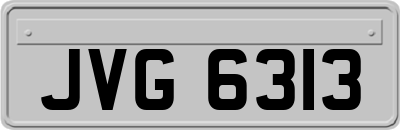 JVG6313