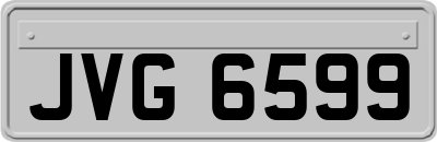 JVG6599