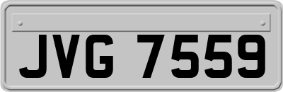 JVG7559