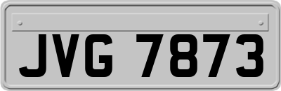 JVG7873