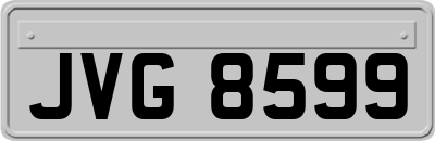 JVG8599