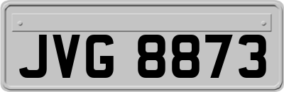 JVG8873