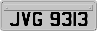 JVG9313
