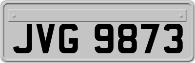 JVG9873