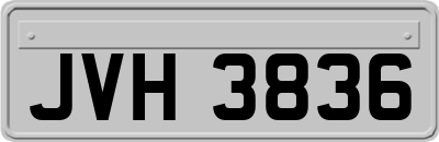 JVH3836