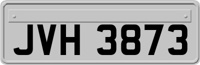 JVH3873