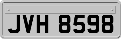 JVH8598