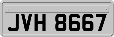 JVH8667