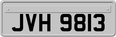 JVH9813