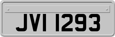 JVI1293