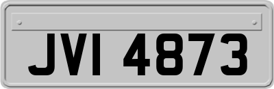 JVI4873