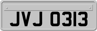 JVJ0313
