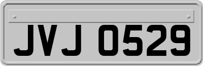 JVJ0529