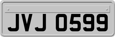 JVJ0599