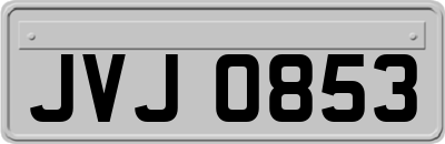 JVJ0853