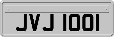JVJ1001