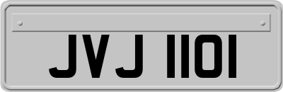JVJ1101
