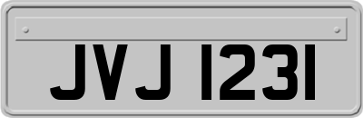 JVJ1231
