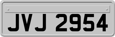 JVJ2954