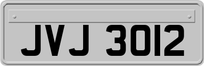 JVJ3012