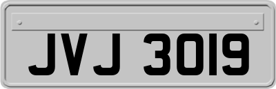 JVJ3019