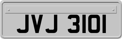 JVJ3101