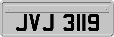 JVJ3119