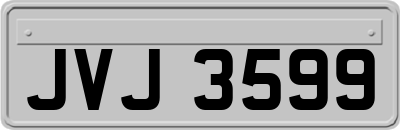 JVJ3599