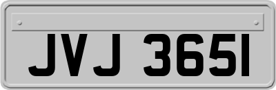 JVJ3651