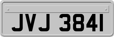 JVJ3841