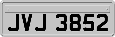 JVJ3852
