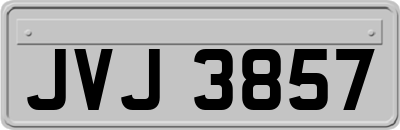 JVJ3857