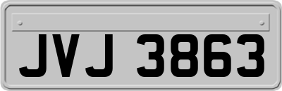 JVJ3863