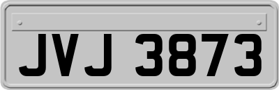 JVJ3873
