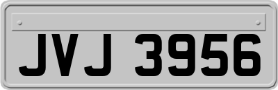JVJ3956
