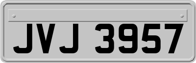 JVJ3957
