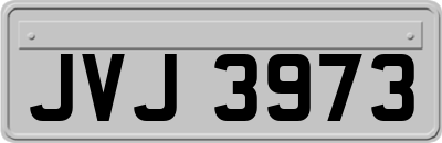 JVJ3973