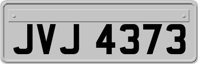 JVJ4373
