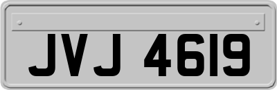 JVJ4619
