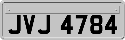 JVJ4784