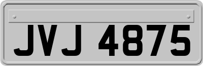 JVJ4875
