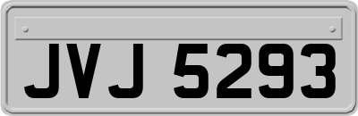 JVJ5293