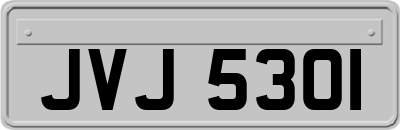 JVJ5301