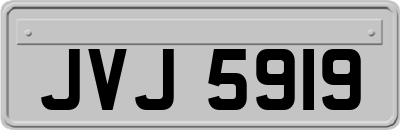 JVJ5919